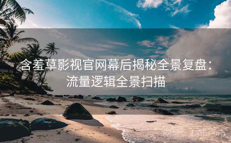 含羞草影视官网幕后揭秘全景复盘：流量逻辑全景扫描